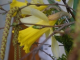 Foto konkurss "Pavasara noskaņās"